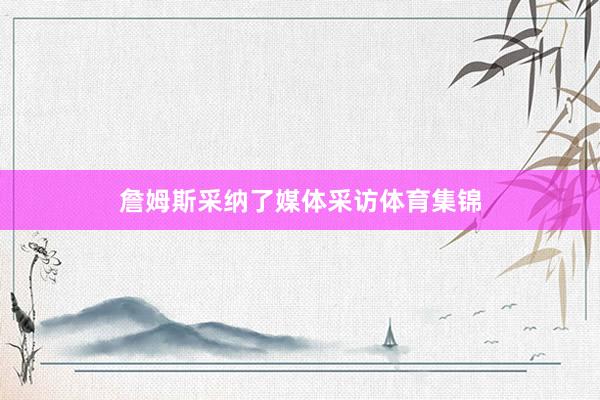 詹姆斯采纳了媒体采访体育集锦