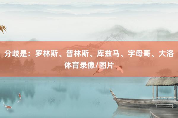 分歧是：罗林斯、普林斯、库兹马、字母哥、大洛体育录像/图片