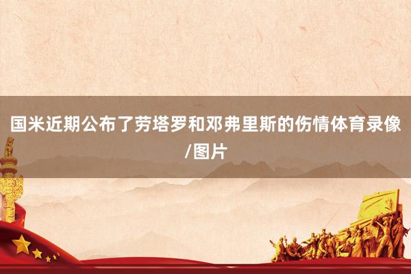 国米近期公布了劳塔罗和邓弗里斯的伤情体育录像/图片