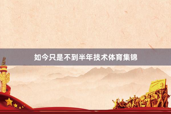 如今只是不到半年技术体育集锦
