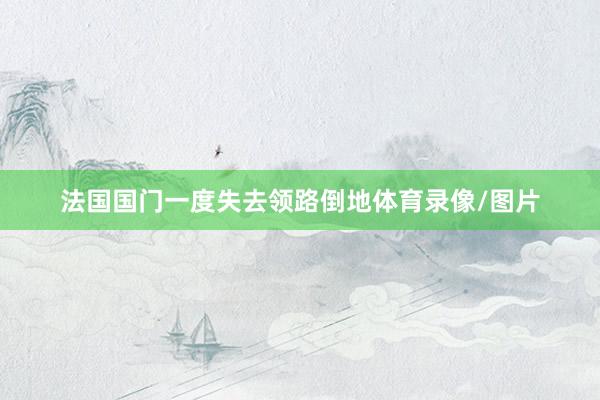 法国国门一度失去领路倒地体育录像/图片
