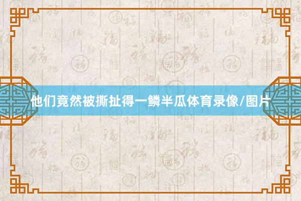 他们竟然被撕扯得一鳞半瓜体育录像/图片