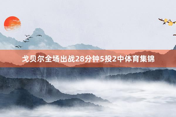 戈贝尔全场出战28分钟5投2中体育集锦