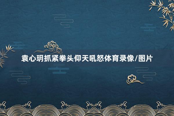 袁心玥抓紧拳头仰天吼怒体育录像/图片