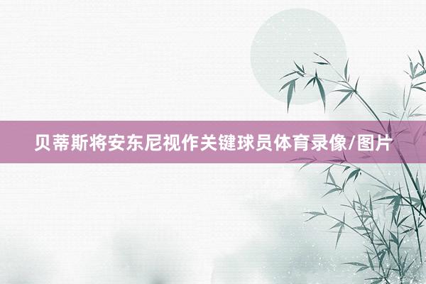贝蒂斯将安东尼视作关键球员体育录像/图片