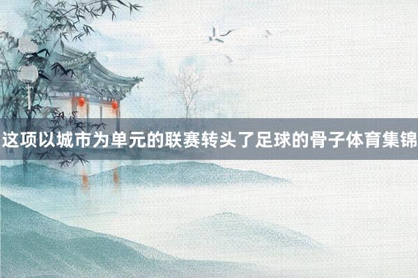 这项以城市为单元的联赛转头了足球的骨子体育集锦