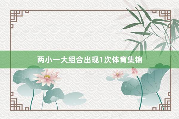 两小一大组合出现1次体育集锦