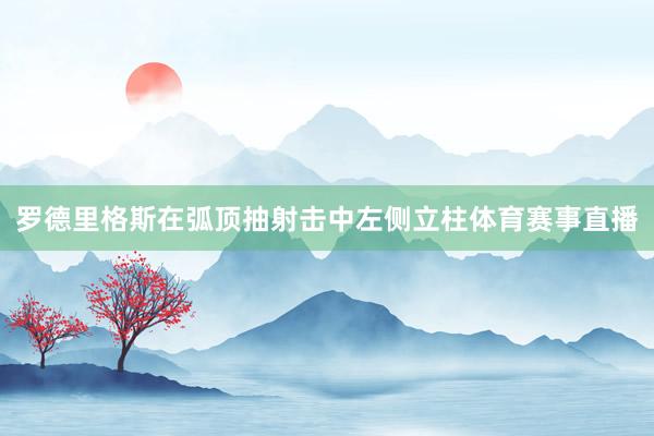 罗德里格斯在弧顶抽射击中左侧立柱体育赛事直播