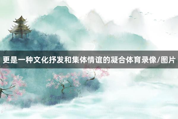 更是一种文化抒发和集体情谊的凝合体育录像/图片