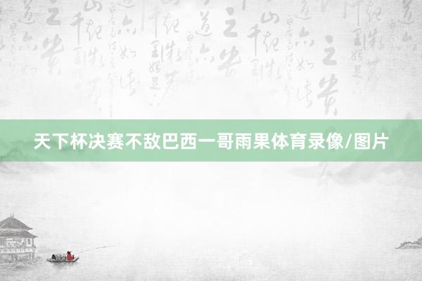 天下杯决赛不敌巴西一哥雨果体育录像/图片