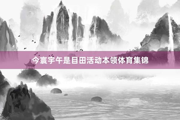 今寰宇午是目田活动本领体育集锦