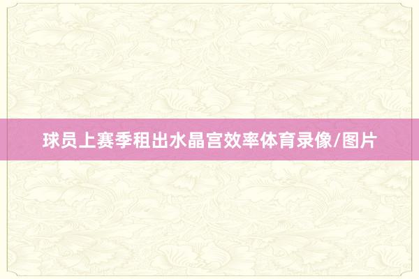 球员上赛季租出水晶宫效率体育录像/图片