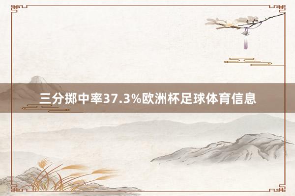 三分掷中率37.3%欧洲杯足球体育信息