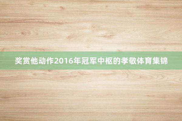 奖赏他动作2016年冠军中枢的孝敬体育集锦