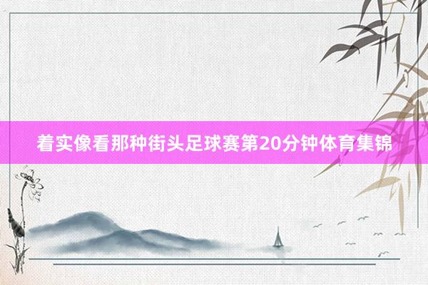 着实像看那种街头足球赛第20分钟体育集锦