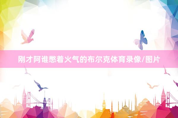 刚才阿谁憋着火气的布尔克体育录像/图片
