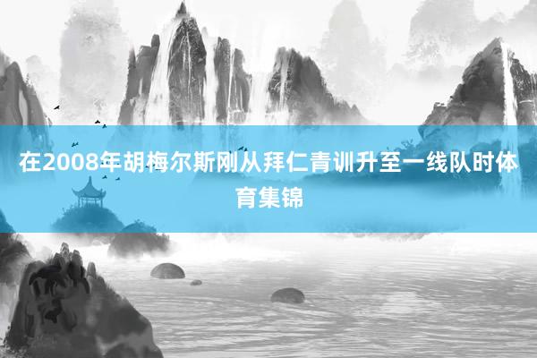 在2008年胡梅尔斯刚从拜仁青训升至一线队时体育集锦