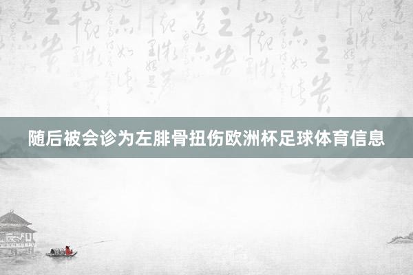 随后被会诊为左腓骨扭伤欧洲杯足球体育信息