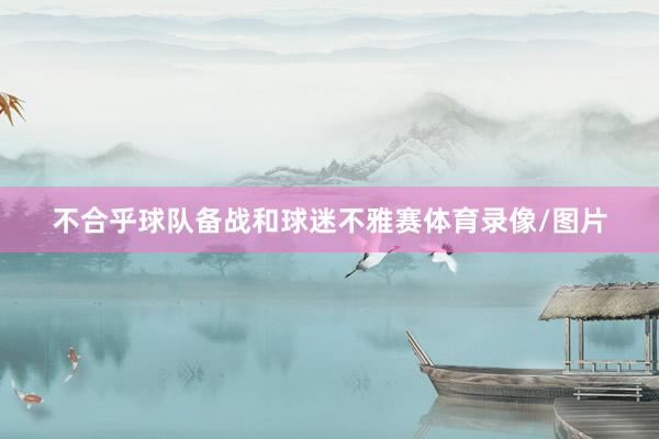 不合乎球队备战和球迷不雅赛体育录像/图片
