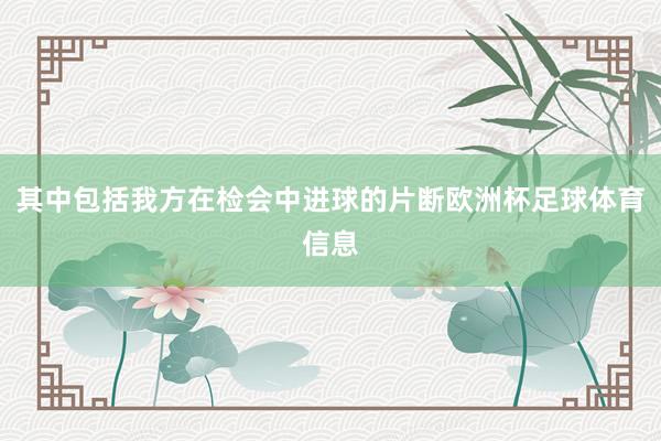 其中包括我方在检会中进球的片断欧洲杯足球体育信息