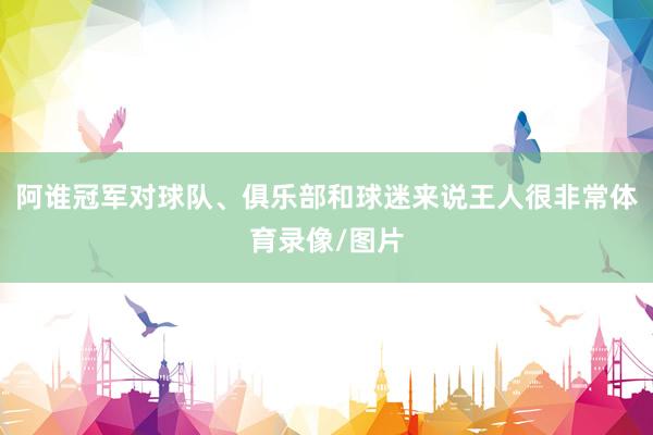 阿谁冠军对球队、俱乐部和球迷来说王人很非常体育录像/图片
