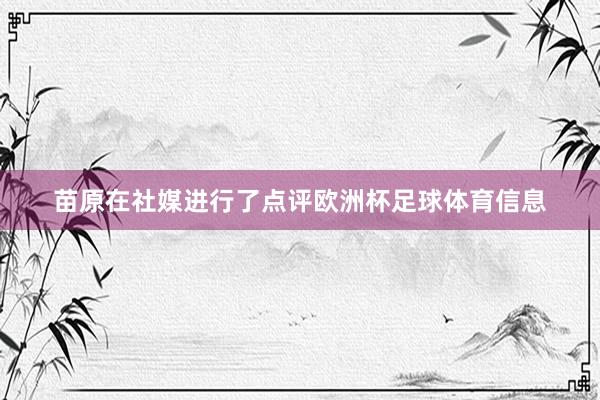 苗原在社媒进行了点评欧洲杯足球体育信息