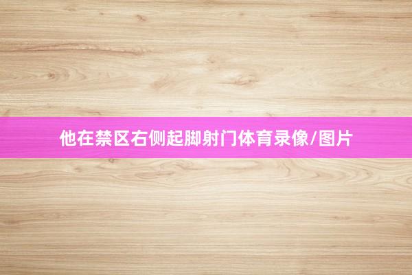 他在禁区右侧起脚射门体育录像/图片
