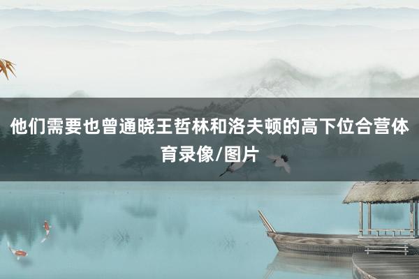他们需要也曾通晓王哲林和洛夫顿的高下位合营体育录像/图片