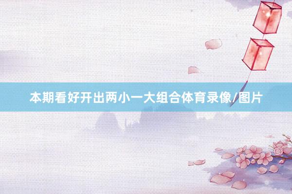 本期看好开出两小一大组合体育录像/图片