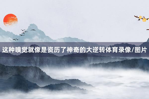 这种嗅觉就像是资历了神奇的大逆转体育录像/图片