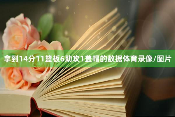 拿到14分11篮板6助攻1盖帽的数据体育录像/图片