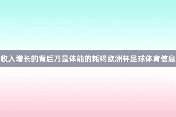 收入增长的背后乃是体能的耗竭欧洲杯足球体育信息