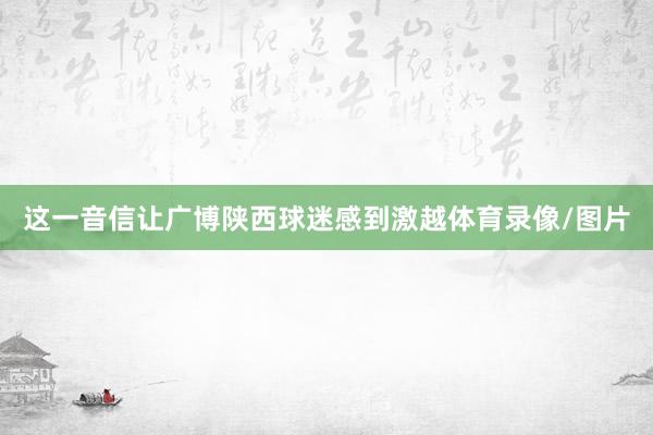 这一音信让广博陕西球迷感到激越体育录像/图片