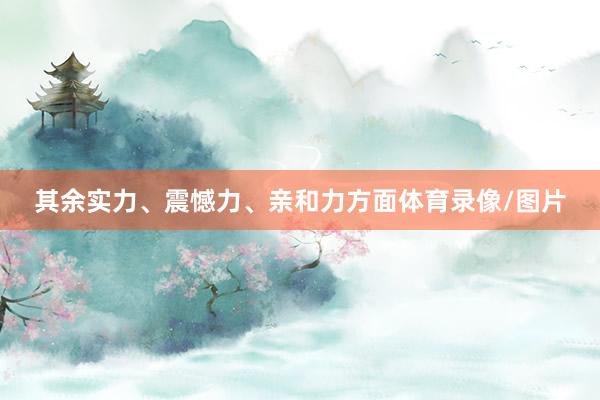 其余实力、震憾力、亲和力方面体育录像/图片