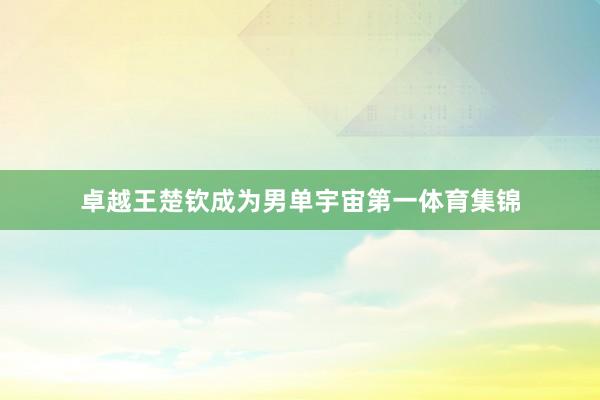 卓越王楚钦成为男单宇宙第一体育集锦