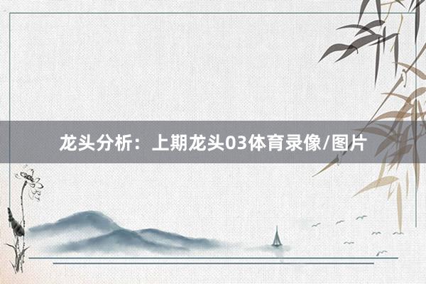 龙头分析：　　上期龙头03体育录像/图片
