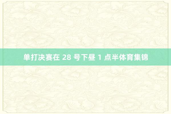 单打决赛在 28 号下昼 1 点半体育集锦