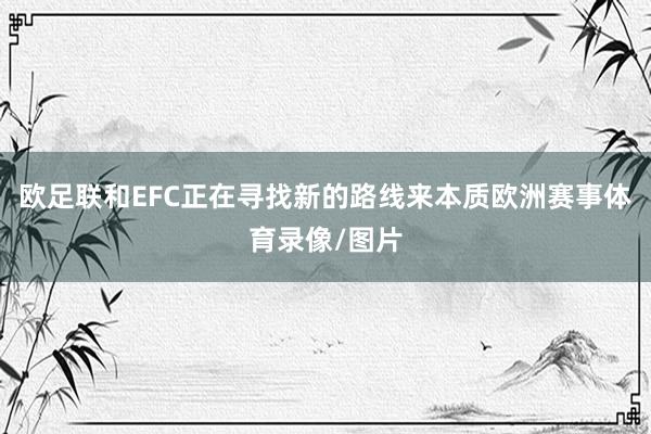 欧足联和EFC正在寻找新的路线来本质欧洲赛事体育录像/图片